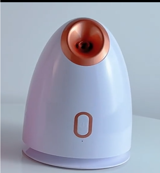 Electric Face Steam Spa Machine