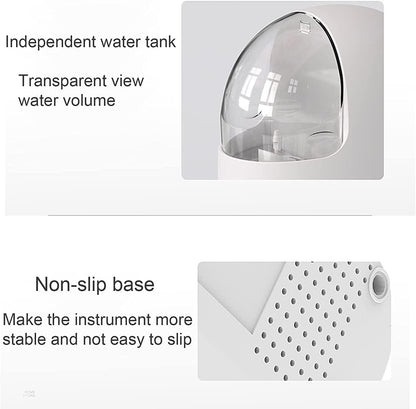 Electric Face Steam Spa Machine