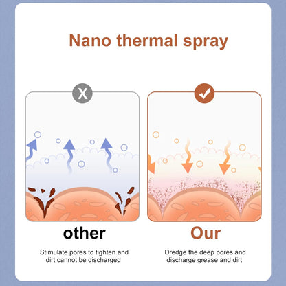 Electric Face Steam Spa Machine
