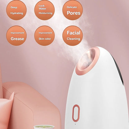 Electric Face Steam Spa Machine