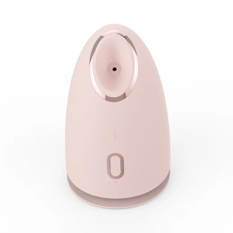 Electric Face Steam Spa Machine