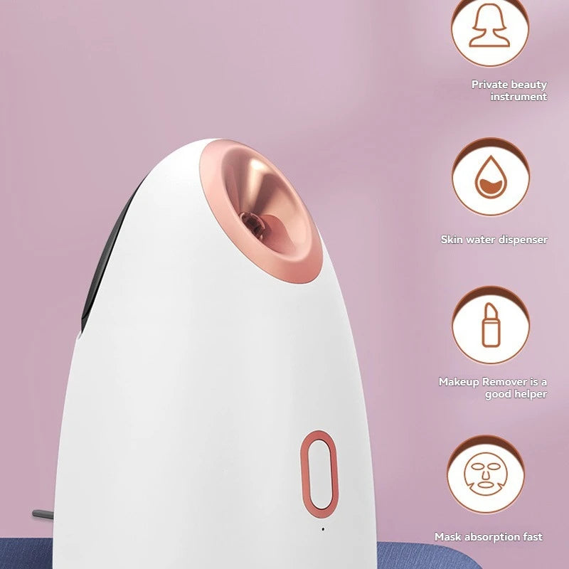 Electric Face Steam Spa Machine