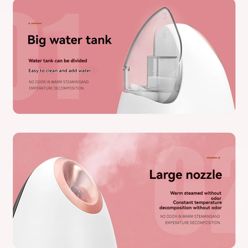 Electric Face Steam Spa Machine