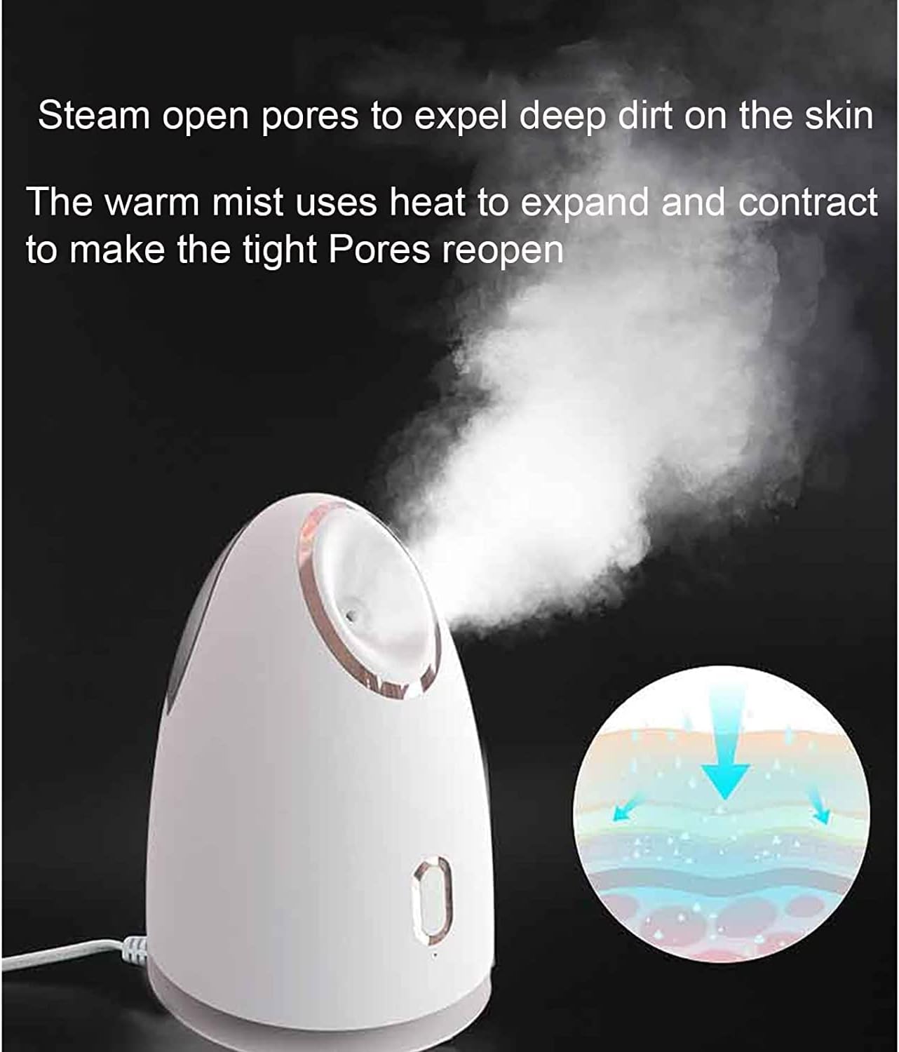 Electric Face Steam Spa Machine