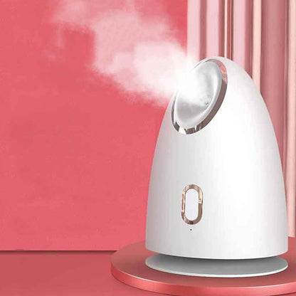 Electric Face Steam Spa Machine